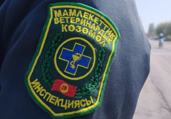 Ветеринария, мал чарбасын өнүктүрүү, жайыт жана тоют кызматы биринчи жарым жылдыктын отчеттук жыйынын өткөрдү