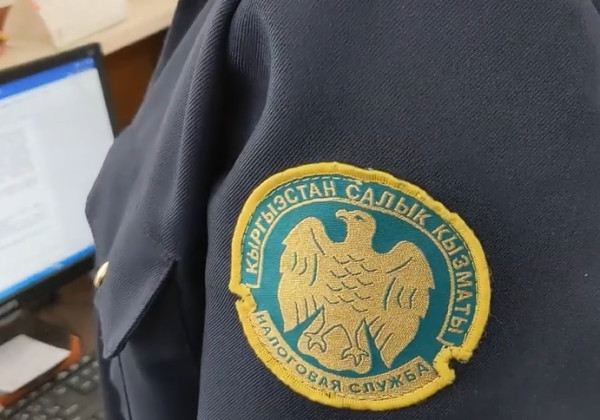 МСК ЖК депутаттыгына талапкерлерди салык мыйзамдарынын жоболорун сактоо тууралуу эскертет