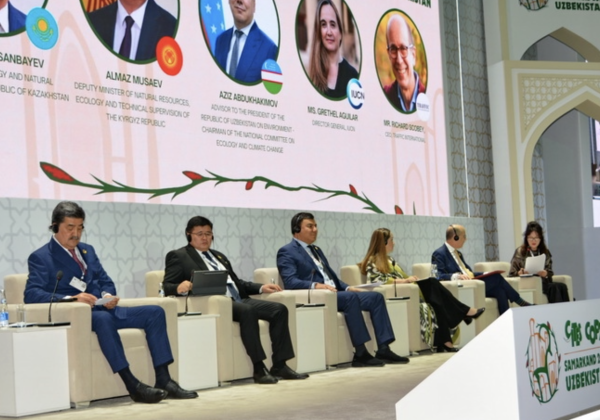 Стартовала 20-я Конференция Сторон Конвенции CITES