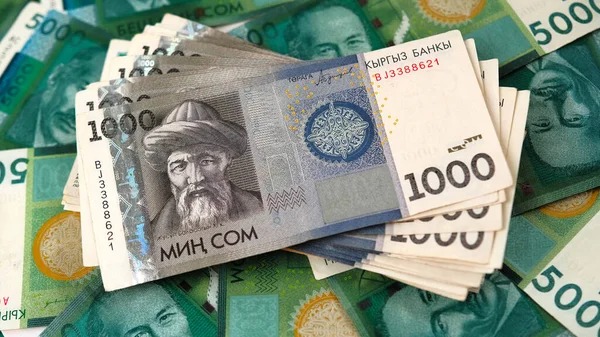 Минтруд планирует повысить оплату персональных ассистентов примерно на 1000 сом в 2026 г.