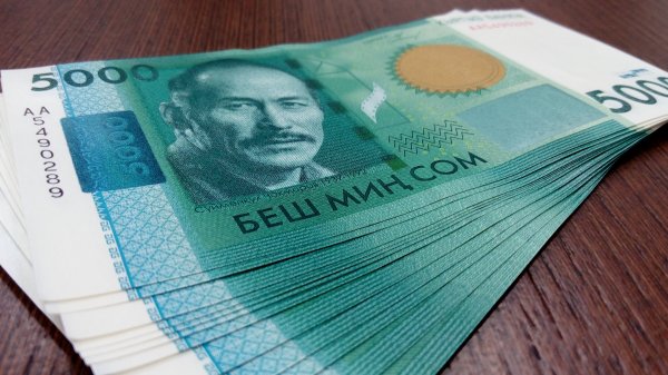 Предприниматели в КР получили кредиты на 7,7 млрд сомов по программе экстренной поддержки