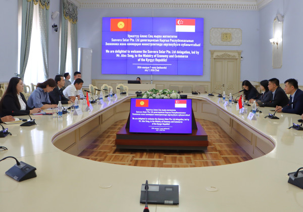 Сингапурская компания планирует запустить в Кыргызстане производство солнечных элементов мощностью до 2 ГВт