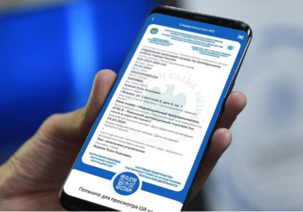 Салык кызматы ЭЭФ 2.0 системасын колдонуу боюнча пилоттук долбоорду ишке ашырат