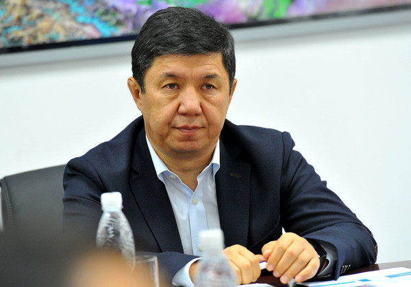Темир Сариев: стоимость освоения Жетим-Тоо нельзя оценивать в $20 млн без полноценного ТЭО