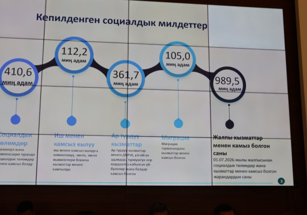 Жарым жыл ичинде дээрлик бир миллион кыргызстандык Эмгек министрлигинин кызматтарынан пайдаланды
