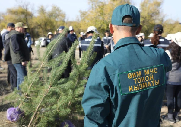 Токой кызматы Жаратылыш ресурстары министрлигинин карамагына өттү