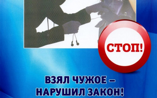Мошенничество обогнало кражи по числу преступлений в Кыргызстане