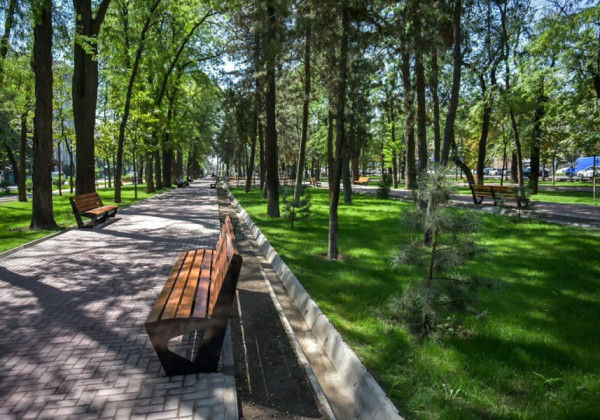 Мэр Айбек Джунушалиев сейил бактарда жана скверлерде иттерди сейилдетүү үчүн атайын жайларды караштырууну тапшырды