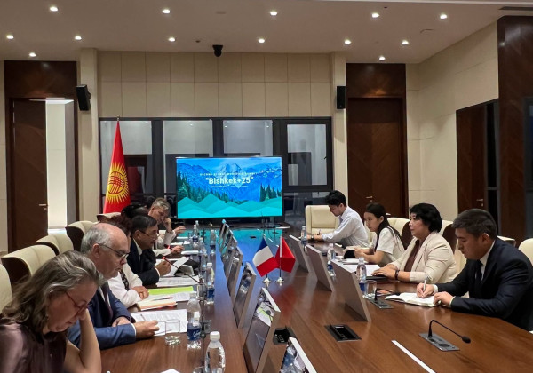 Кыргызстан француз парламентарийлерине тоолуу региондорду өнүктүрүү боюнча демилгелерин тааныштырды