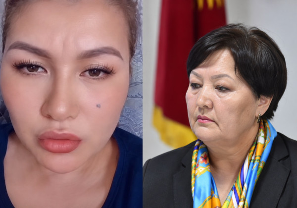 «Родители сами объясняют детям темы дома»: пользовательница соцсетей обратилась к министру просвещения
