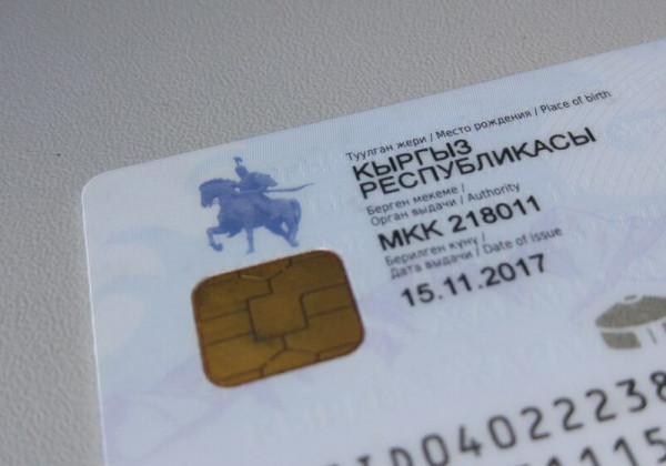 Кыргызстанцы смогут ездить в страны ОТГ без загранпаспорта – готовится общий механизм