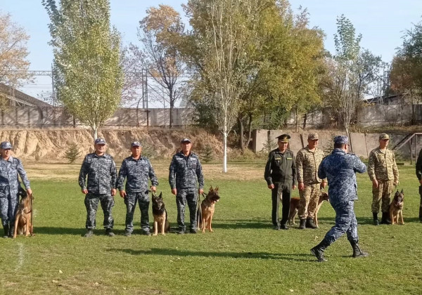 В Кыргызстане впервые провели межведомственные соревнования кинологов со служебными собаками