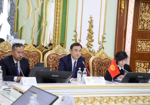 Кыргызстан развивает сотрудничество в сфере трансграничных платежей